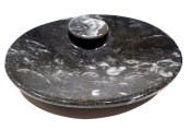 nautilus bowl $40 approx 4.75 x 4
